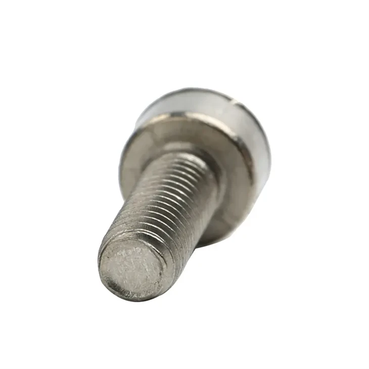 Hex Socket Head Bolt (4)